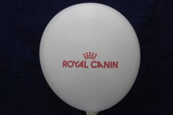 заказ воздушных шаров с логотипом Москва