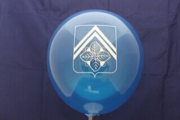 воздушный шар с логотипом